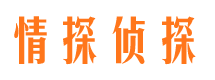 红塔市私家侦探